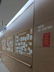 -上海首尔丽格医疗美容医院