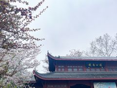 -堤角公园