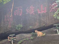 -鸿山公园