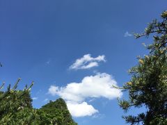 -王顺山国家森林公园