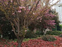 -南京钟山宾馆(江苏省会议中心)