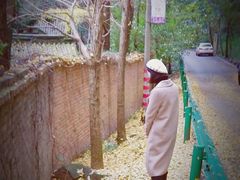 -金堂县云顶石城风景区