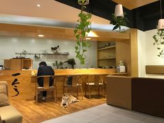 -柴务处·柴犬主题狗咖