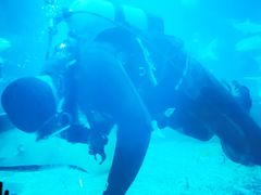 -福州罗源湾海洋世界旅游区