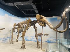 -辽宁古生物博物馆