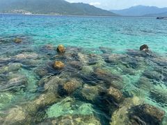 -海南分界洲岛旅游区