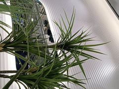 -兰湘子·湘菜小炒(崂山丽达店)