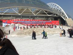 -沈阳奥体冰雪嘉年华