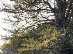 -径山寺