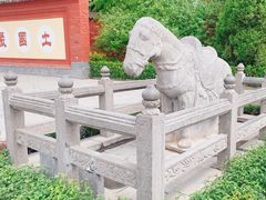 -洛阳白马寺