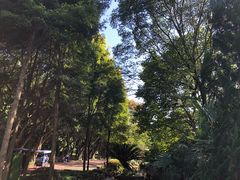 -禅驿嘉定院子-禅欢江景餐厅·中餐·户外烧烤定制(乐山大佛店)