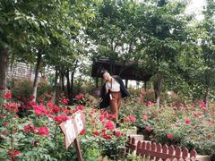 -西安汉城湖景区