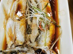清蒸白水鱼-老盛兴汤包馆(大华二路店)