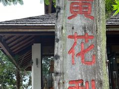 -亚龙湾热带天堂森林公园