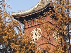 -四川大学(华西校区)