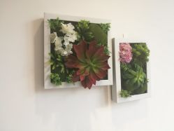 -谜秀专业半永久纹眉纹绣美瞳线洗眉