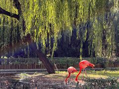 -石家庄市动物园