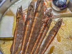-禄婶鸡煲·打边炉