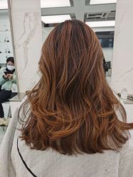 -潘多拉Hairsalon
