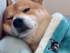 -星星国际影城(激光松山湖店)