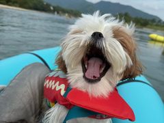 -楠溪江风景名胜区