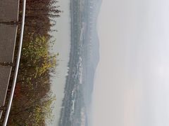 -羊山湖公园