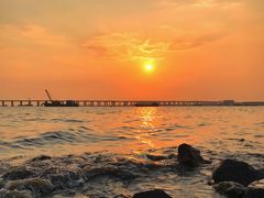 -宝安西湾红树林湿地公园