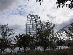 -顾村公园