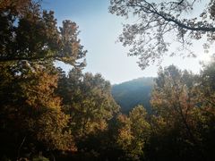 -广州市石门国家森林公园
