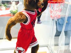 -济州岛泰迪熊博物馆