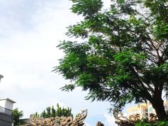 -汕头市小公园