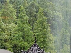 -大围山国家森林公园