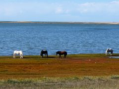 -青海湖国家重点风景名胜区