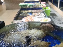 -皇朝海鲜酒店