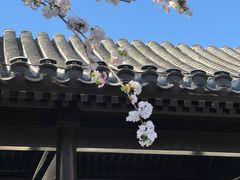 -新奥购物中心