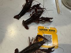 -盱眙虾怪·旗舰店