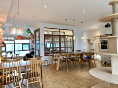 -猫小主咖啡·猫咖cat cafe(福田店)