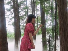 -东湖落雁景区