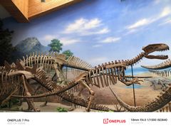 -延庆地质公园博物馆