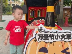-灵玲国际马戏城