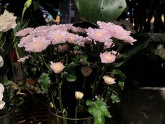 -Libra Flora花店(骆岗中央公园店)