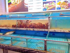 -渔家风味·鲅鱼水饺·央视展播·海鲜天津菜(开发区店)