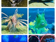 -北海·海洋之窗