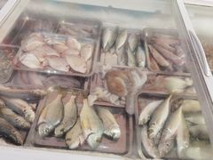 -海之鲜大排档(东山海鲜金銮湾店)