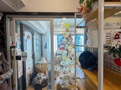 -有喵·猫咖·狗咖·30几只猫10只小狗(岗厦店)