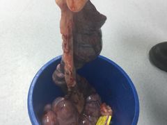 -达爱动物医院·犬猫分区·CT·复杂眼科(远洋山水分院)