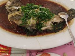 -东豪园林海鲜酒家(南港路辅路店)