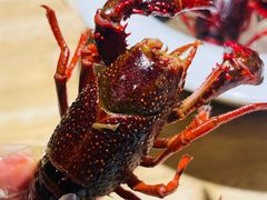 -同福龙虾(高新店)