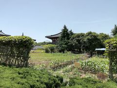 -清凉寺