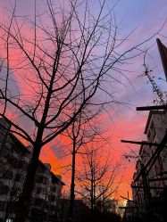 -莫莉幻想儿童乐园(北京天通苑华联店)